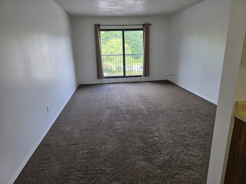 Salon avec grande fenêtre et tapis neutre