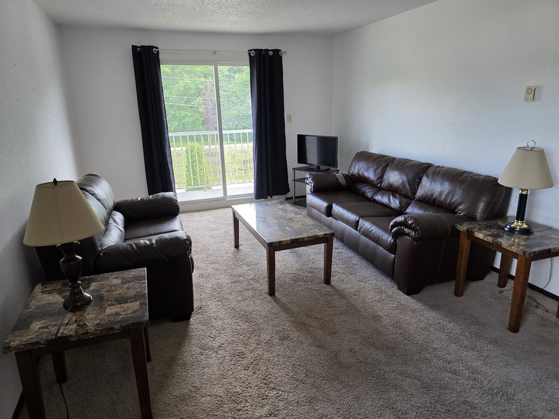 Furnished living room with leather sofa and TV