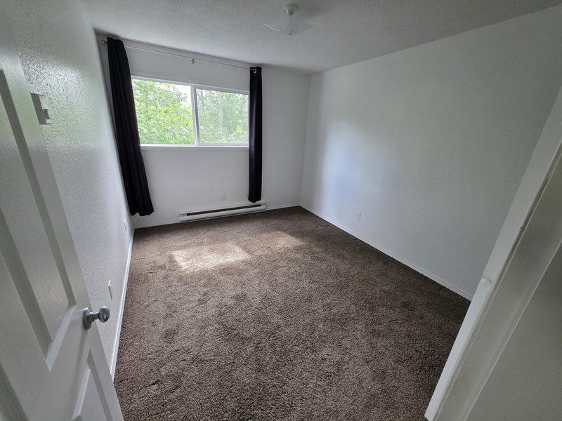 Bedroom with window and carpet